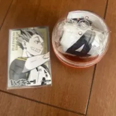 2026年最新】木兎光太郎 缶バッジの人気アイテム - メルカリ