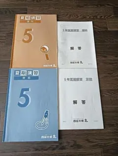 2026年最新】四谷大塚 夏期講習 4年の人気アイテム - メルカリ