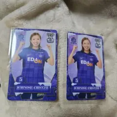 2026年最新】オンサイトカード サンフレッチェ広島の人気アイテム