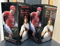 2026年最新】トラウトボブルヘッドの人気アイテム - メルカリ