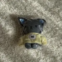 2026年最新】ピーハイ マスコット jochumの人気アイテム - メルカリ