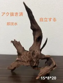 2026年最新】マシンガンウッドの人気アイテム - メルカリ