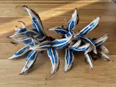 2026年最新】旅人の木の人気アイテム - メルカリ