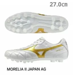 2026年最新】モレリアネオ ゴールドの人気アイテム - メルカリ