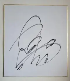 2026年最新】レノファ山口サインの人気アイテム - メルカリ