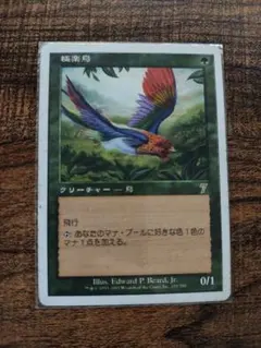 2026年最新】極楽鳥 mtgの人気アイテム - メルカリ