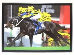 2026年最新】ステイゴールド ポスターの人気アイテム - メルカリ