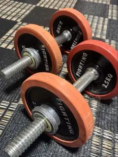 2026年最新】ファイティングロード プレートの人気アイテム - メルカリ