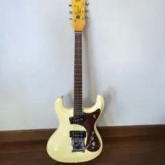 2026年最新】モズライト ハードケースの人気アイテム - メルカリ