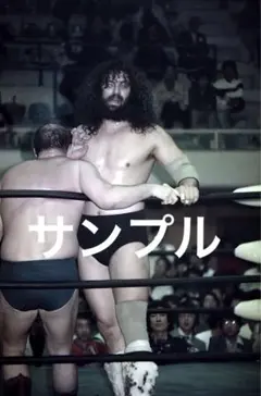 2026年最新】ドリーファンクの人気アイテム - メルカリ