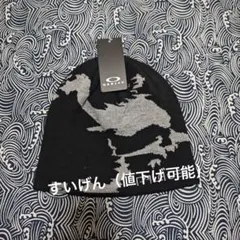 2026年最新】PALACE oakley ビーニーの人気アイテム - メルカリ