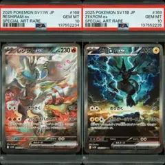 2026年最新】レシラム ゼクロム 連番の人気アイテム - メルカリ