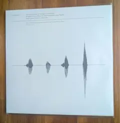 2026年最新】CD サカナクション シンシロの人気アイテム - メルカリ