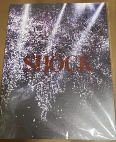 2026年最新】Endless SHOCK パンフの人気アイテム - メルカリ