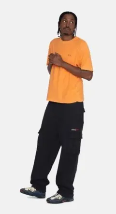 2026年最新】stussy sport cargo fleece pantの人気アイテム - メルカリ