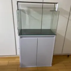 2026年最新】ada アクアスカイ60の人気アイテム - メルカリ