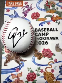 2026年最新】日本ハムファイターズ サインボールの人気アイテム - メルカリ