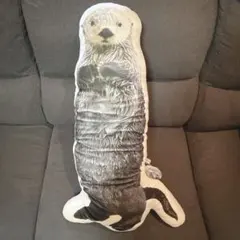 2026年最新】鳥羽水族館 ブランケットの人気アイテム - メルカリ