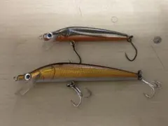 2026年最新】ムラセミノー アクアバッハの人気アイテム - メルカリ