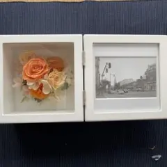 2026年最新】francfranc 造花の人気アイテム - メルカリ