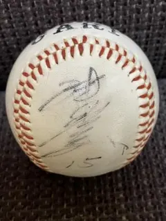 2026年最新】津田恒実サインの人気アイテム - メルカリ