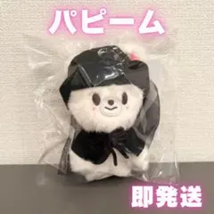 2026年最新】Straykids skzoo マグネットキーリング パピームの人気