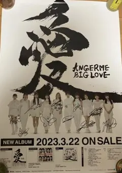 2026年最新】アンジュルム ポスター サインの人気アイテム - メルカリ