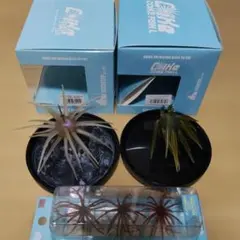 2026年最新】旧コイケの人気アイテム - メルカリ