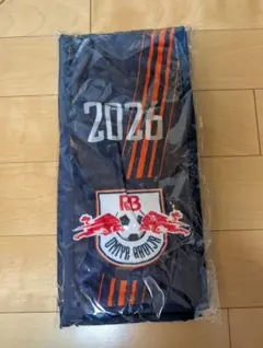 2026年最新】大宮アルディージャタオルマフラーの人気アイテム - メルカリ