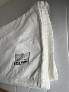 2026年最新】プラチナフォトン ブランケットの人気アイテム - メルカリ