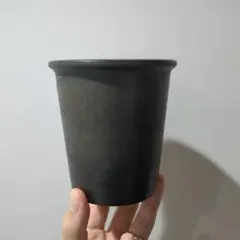 2026年最新】TOKY 鉢の人気アイテム - メルカリ