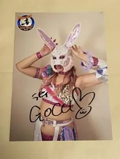 2026年最新】 マリーゴールド 女子プロレスの人気アイテム - メルカリ