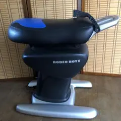 2026年最新】ロデオボーイⅡの人気アイテム - メルカリ