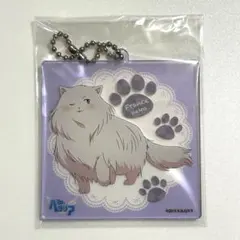 2026年最新】ねこたりあの人気アイテム - メルカリ