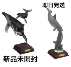 2026年最新】小笠原 ネイチャーの人気アイテム - メルカリ