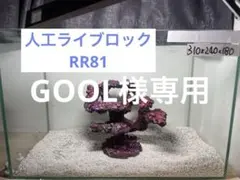 2026年最新】ライブロックレプリカの人気アイテム - メルカリ