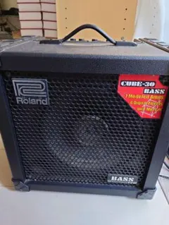 2026年最新】roland cube 30 bassの人気アイテム - メルカリ