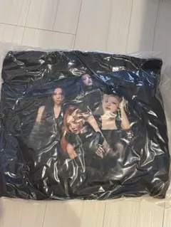 2026年最新】blackpink プレミアムシート グッズの人気アイテム - メルカリ