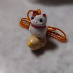 2026年最新】猫舎道楽堂本舗の人気アイテム - メルカリ