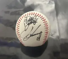 2026年最新】康晃 サインボールの人気アイテム - メルカリ