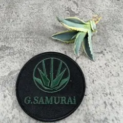 2026年最新】サルミアナの人気アイテム - メルカリ