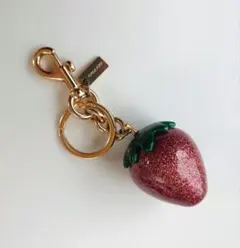 2026年最新】coach いちご キーホルダーの人気アイテム - メルカリ
