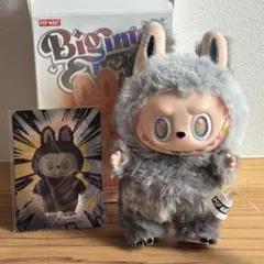 2026年最新】LABUBU secretの人気アイテム - メルカリ