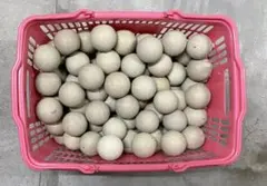 2026年最新】ソフトテニスボール 練習用の人気アイテム - メルカリ