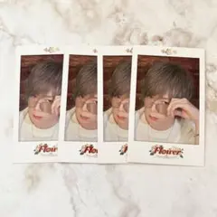 2026年最新】うらたぬき チェキの人気アイテム - メルカリ