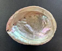 2026年最新】アワビ 磨きの人気アイテム - メルカリ