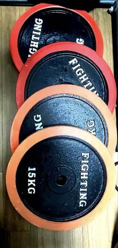 2026年最新】ファイティングロード プレート 15kgの人気アイテム