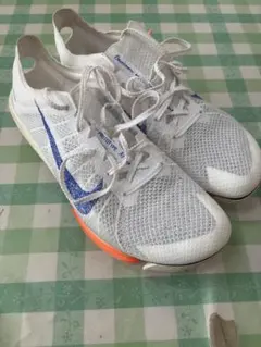 2026年最新】ナイキ ビクトリー 2 ブループリントの人気アイテム