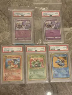 2026年最新】フシギバナ とりかえっこ psa10の人気アイテム - メルカリ