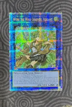 2026年最新】蒼翠の風霊使いウィンの人気アイテム - メルカリ